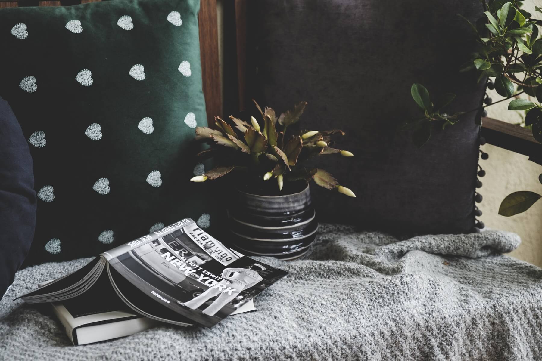 The Apartment Reading Nook