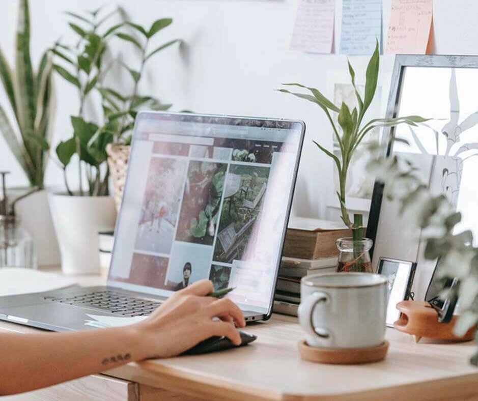 Woman working on a laptop computer with houseplants on her desk. Photo credit: Teona Swift