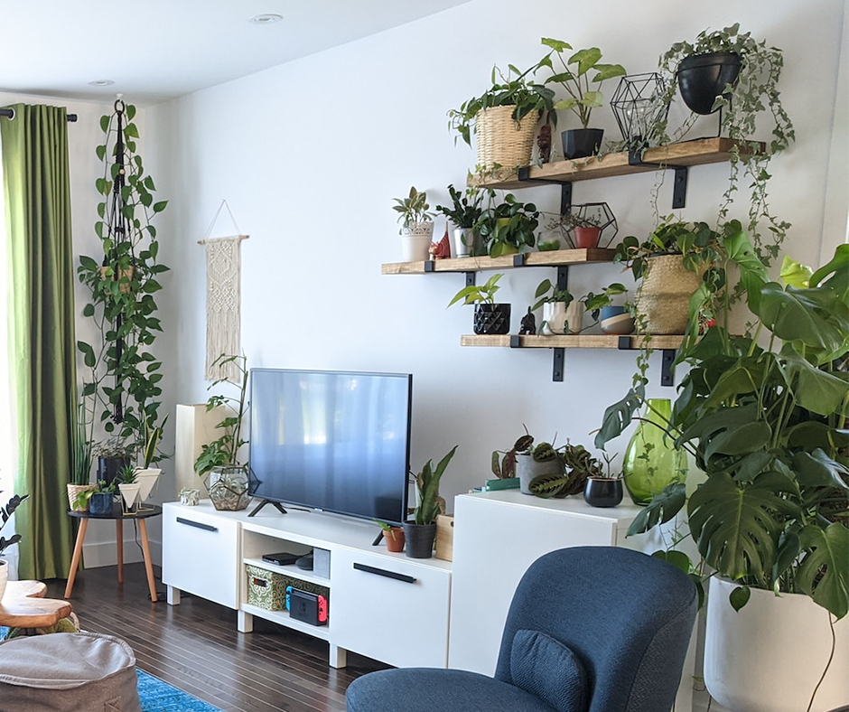 Artificial plants in a living room. Image credit: Véronique Trudel