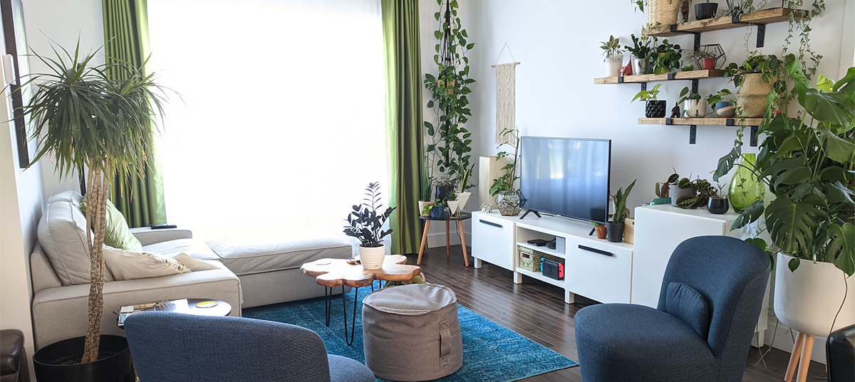 Artificial plants in a living room. Image credit: Véronique Trudel
